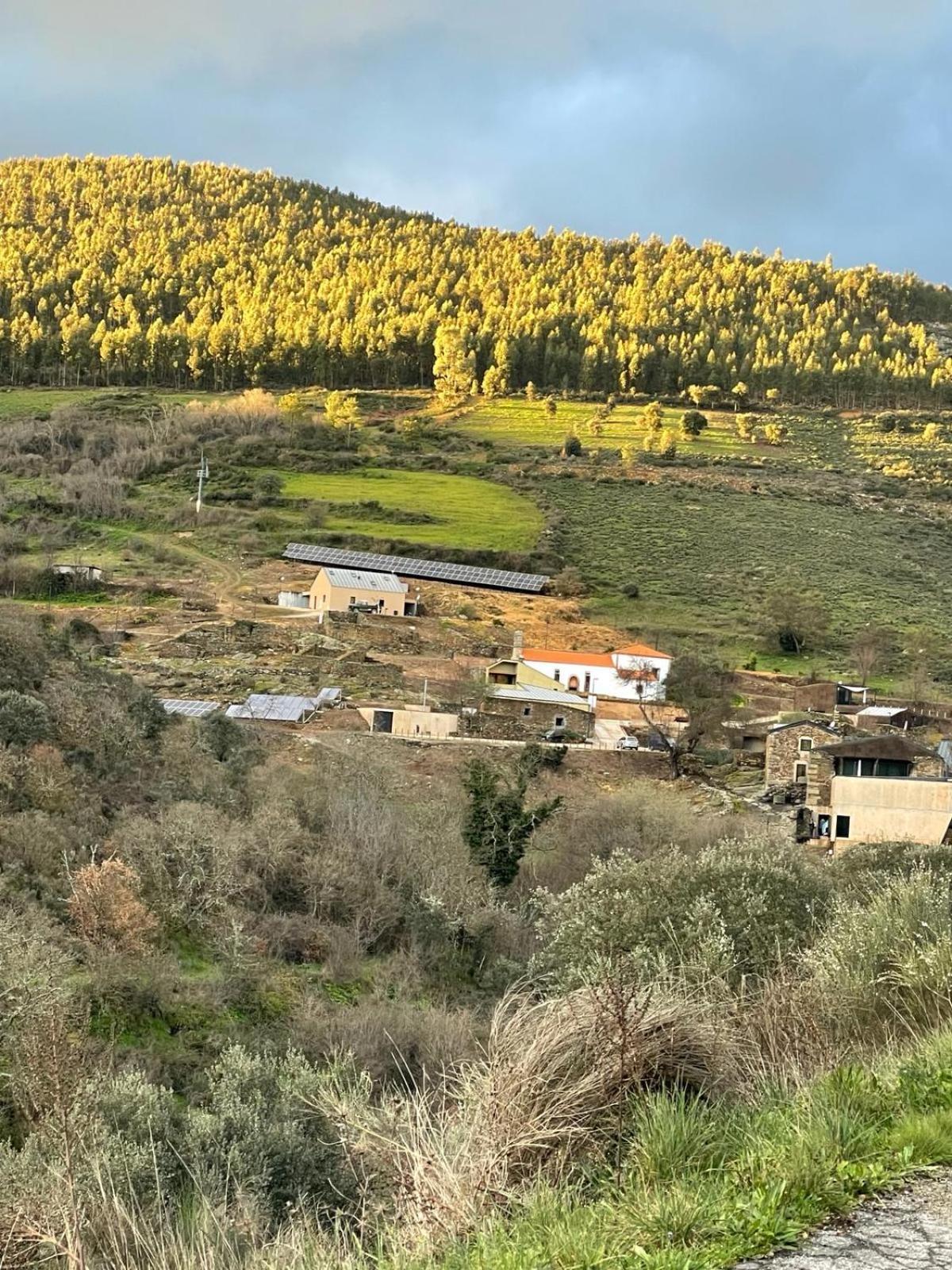 פיגואירה דה קסטלו רודריגו Colmeal Countryside Hotel מראה חיצוני תמונה